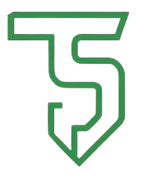 Techno Step Logo